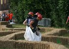 IMG 6113