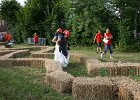 IMG 6114