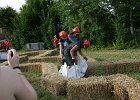 IMG 6115