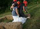 IMG 6119