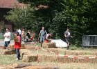 IMG 6122
