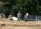 IMG 6123