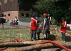 IMG 6125