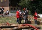 IMG 6126