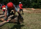 IMG 6131