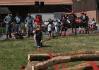 IMG 6137