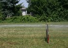 IMG 6144