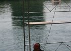 IMG 6158