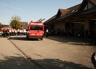 IMG 8985