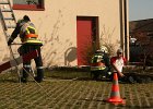 IMG 8994