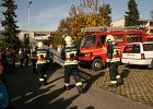 IMG 8998