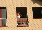 IMG 9004