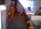 IMAG0825