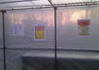 IMAG0834