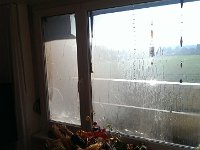 IMAG0116