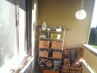 IMAG0117