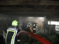 DSCN2392