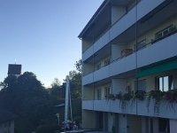 IMG 9231