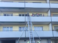 IMG 9235