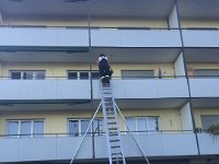 IMG 9237