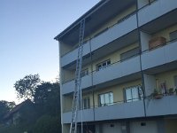 IMG 9241