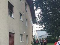 IMG 9246