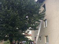 IMG 9249
