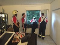 IMG 9256