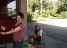 IMG 3466