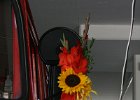IMG 3474