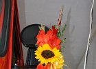 IMG 3476