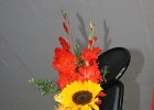 IMG 3484