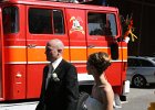 IMG 3509