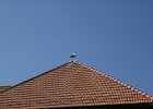 IMG 3527